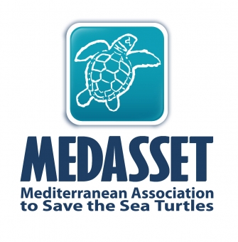 Medasset Logo